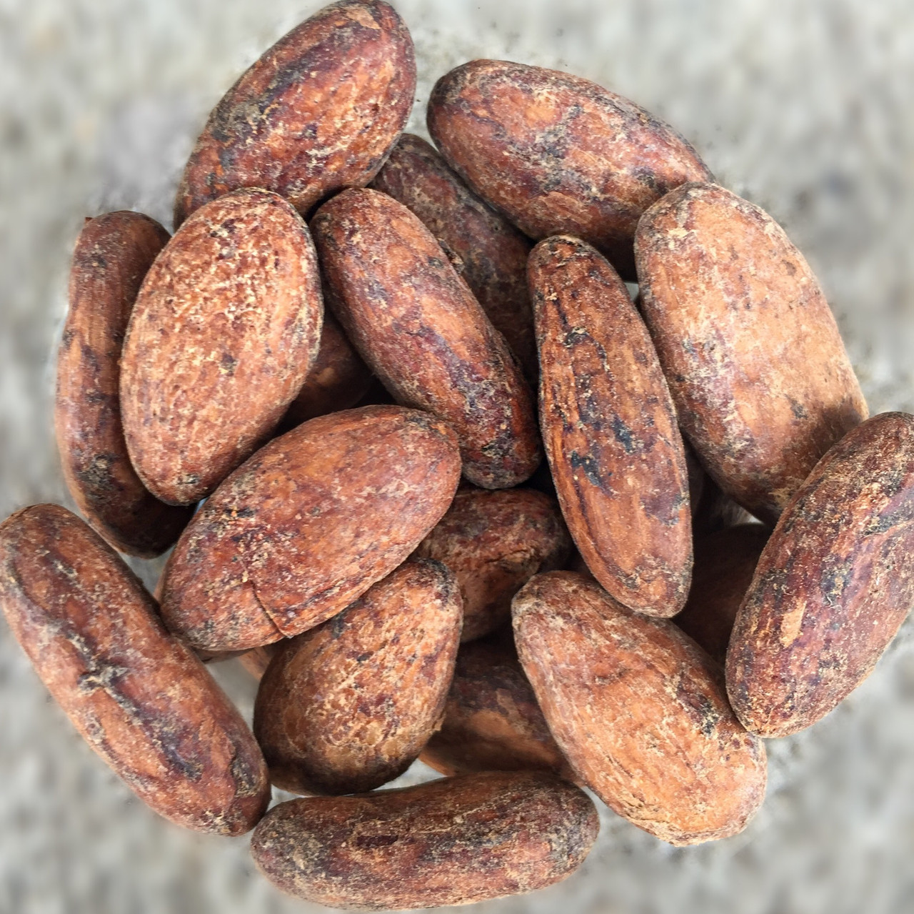 Arriba Nacional Ecuadorian Cacao Beans 20kg