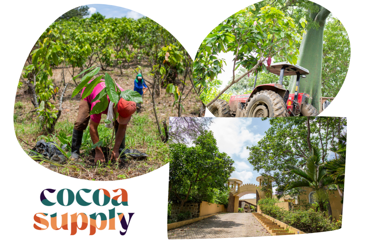 Organic Hacienda El Castillo Cacao Beans 20kg - Ecuadorian Single Plantation