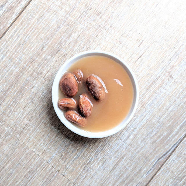 SALE! Cacao Fruit Pulp Nectar Puree 500g without label