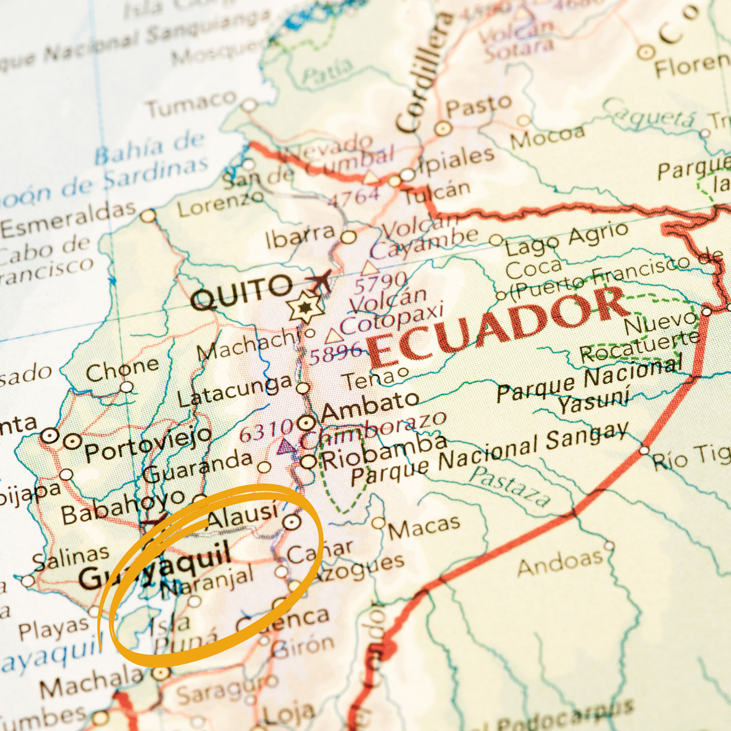 Unsweetened Chocolate / 100% Fino Cacao Naranjal 15kg