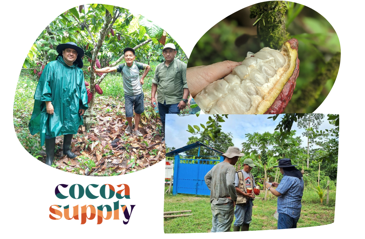 Ucayali Cacao Beans 20kg - Peru