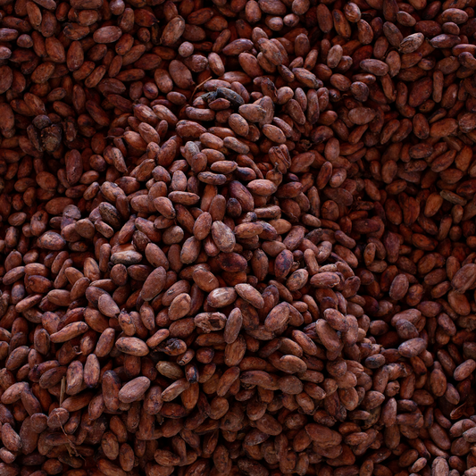 Hacienda El Castillo Cacao Beans 3kg - Ecuadorian Single Plantation