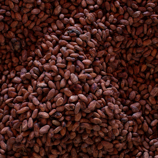 Organic Hacienda El Castillo Cacao Beans 20kg - Ecuadorian Single Plantation