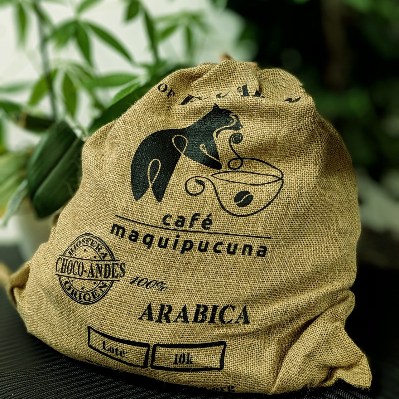 Maquipucuna - Specialty Green Coffee Beans 10kg