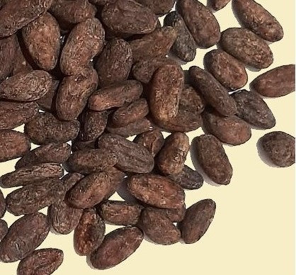 dried cocoa cacao beans on light yellow background